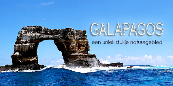 Duiken Galapagos